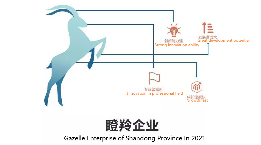 Weima Pump was awarded as the Gazelle enterprise of Shandong Province in 2021