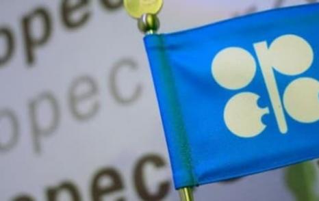 OPEC May Cut 2022 Oil Demand Forecast